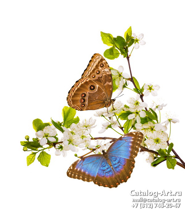  Butterflies 19